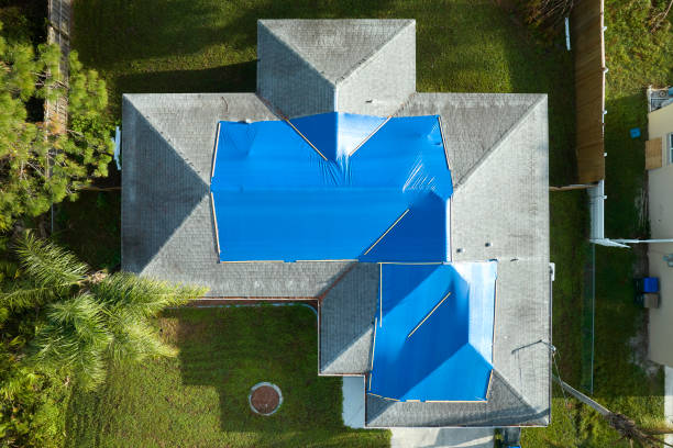 Best Asphalt Shingles Roofing  in Arlington, MN