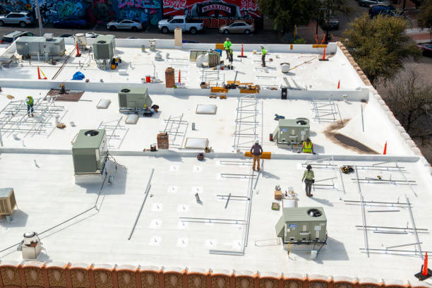 Best Roof Maintenance and Cleaning  in Arlington, MN