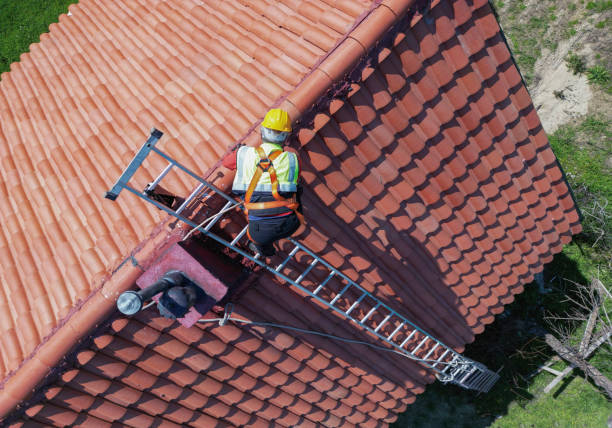 Best Emergency Roof Repair  in Arlington, MN