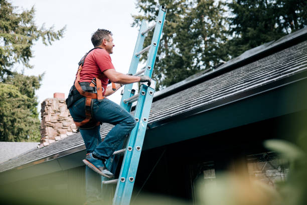 Best Storm Damage Roof Repair  in Arlington, MN