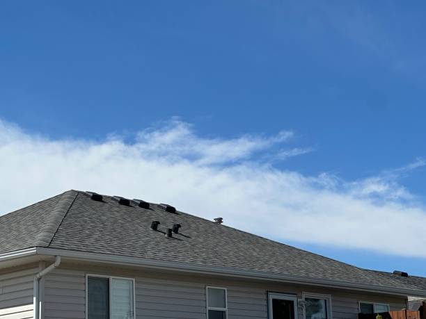 Best Roof Installation  in Arlington, MN